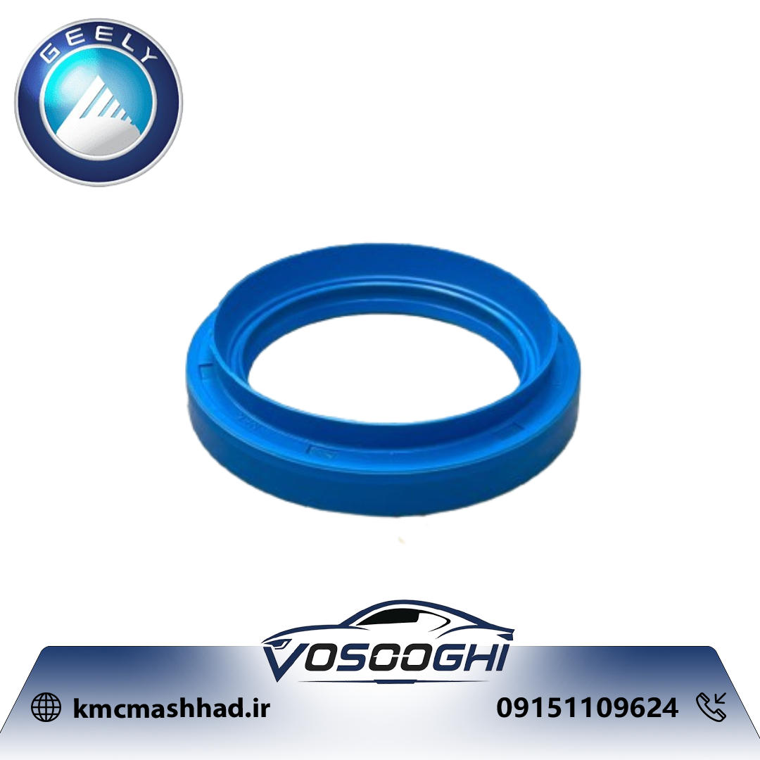کاسه نمد پلوس جیلی GC6 الیت و اکسلنت 3016073201